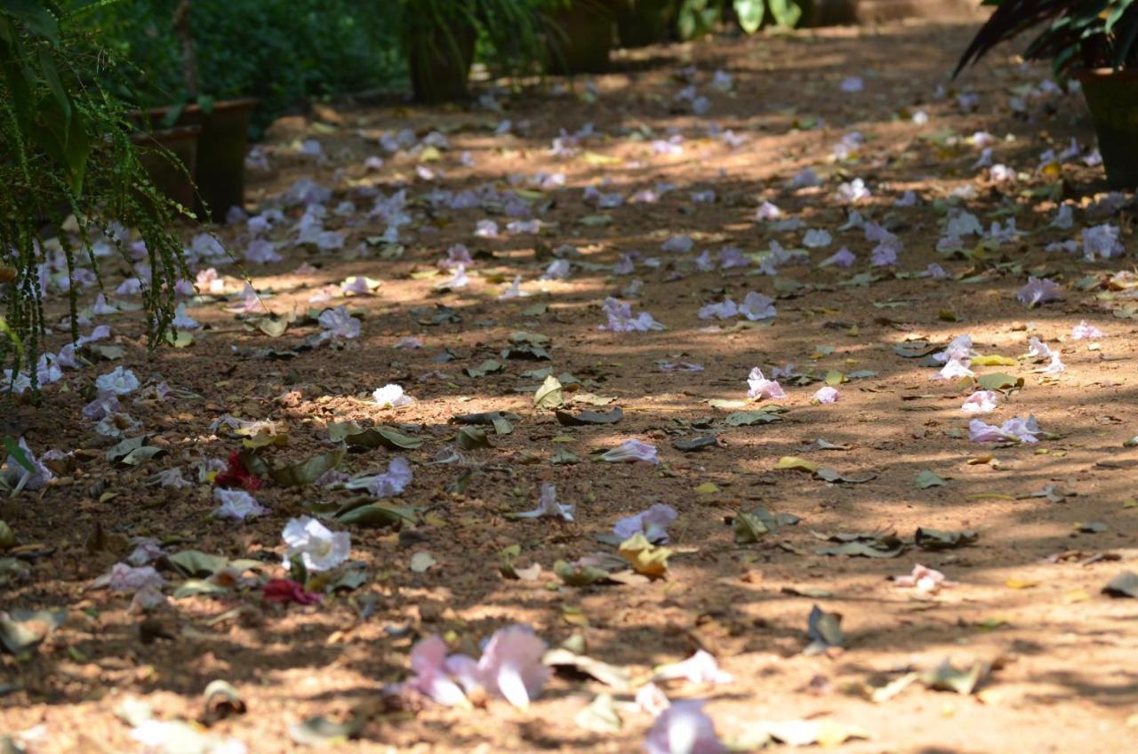Bhakti Kutir Hotel Palolem Luaran gambar