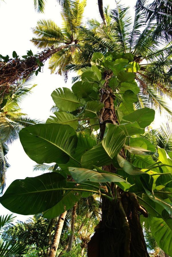 Bhakti Kutir Hotel Palolem Luaran gambar